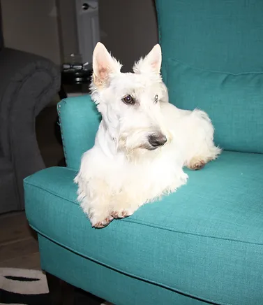 Miss Fiona
