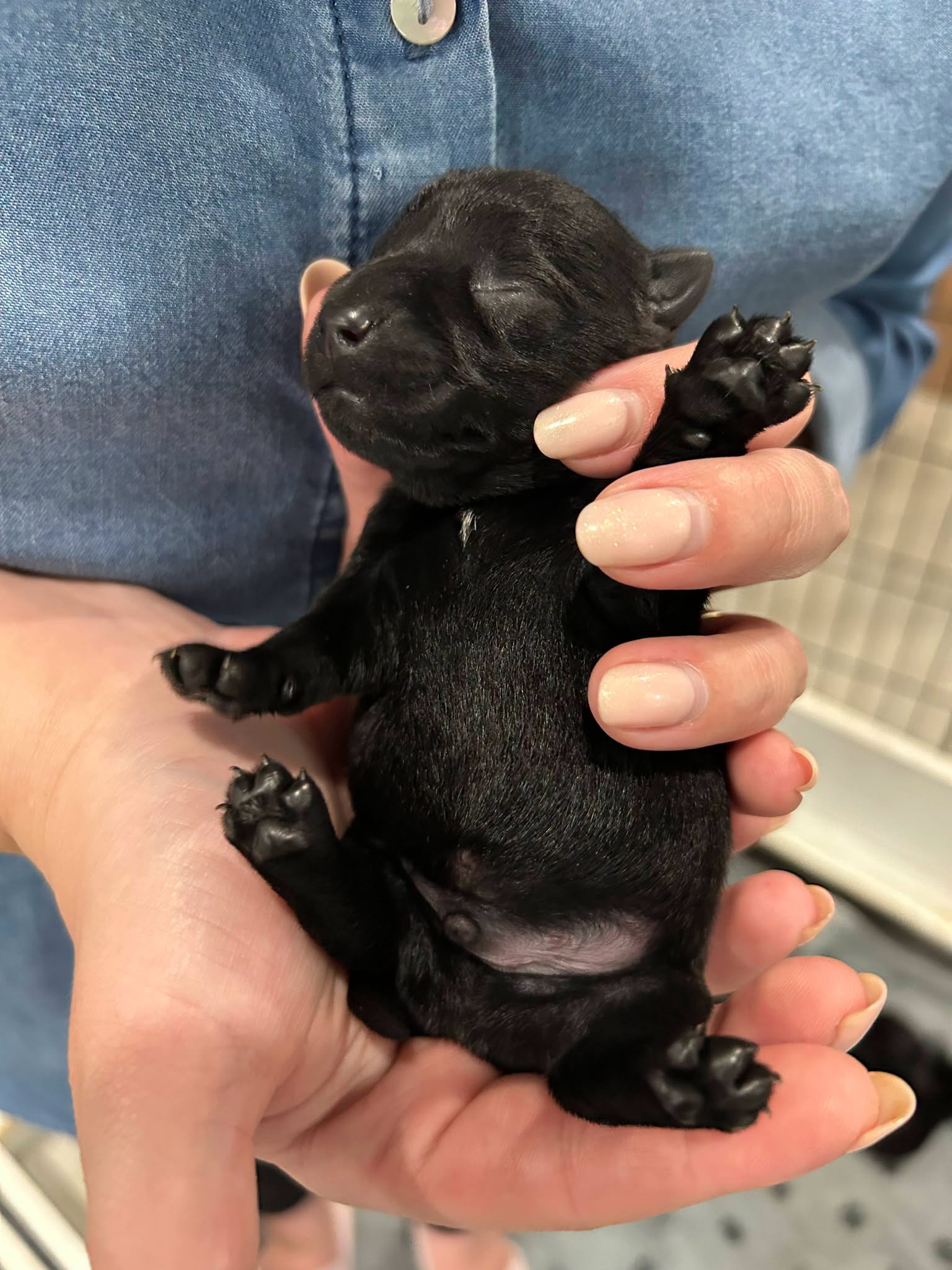 Linus being held