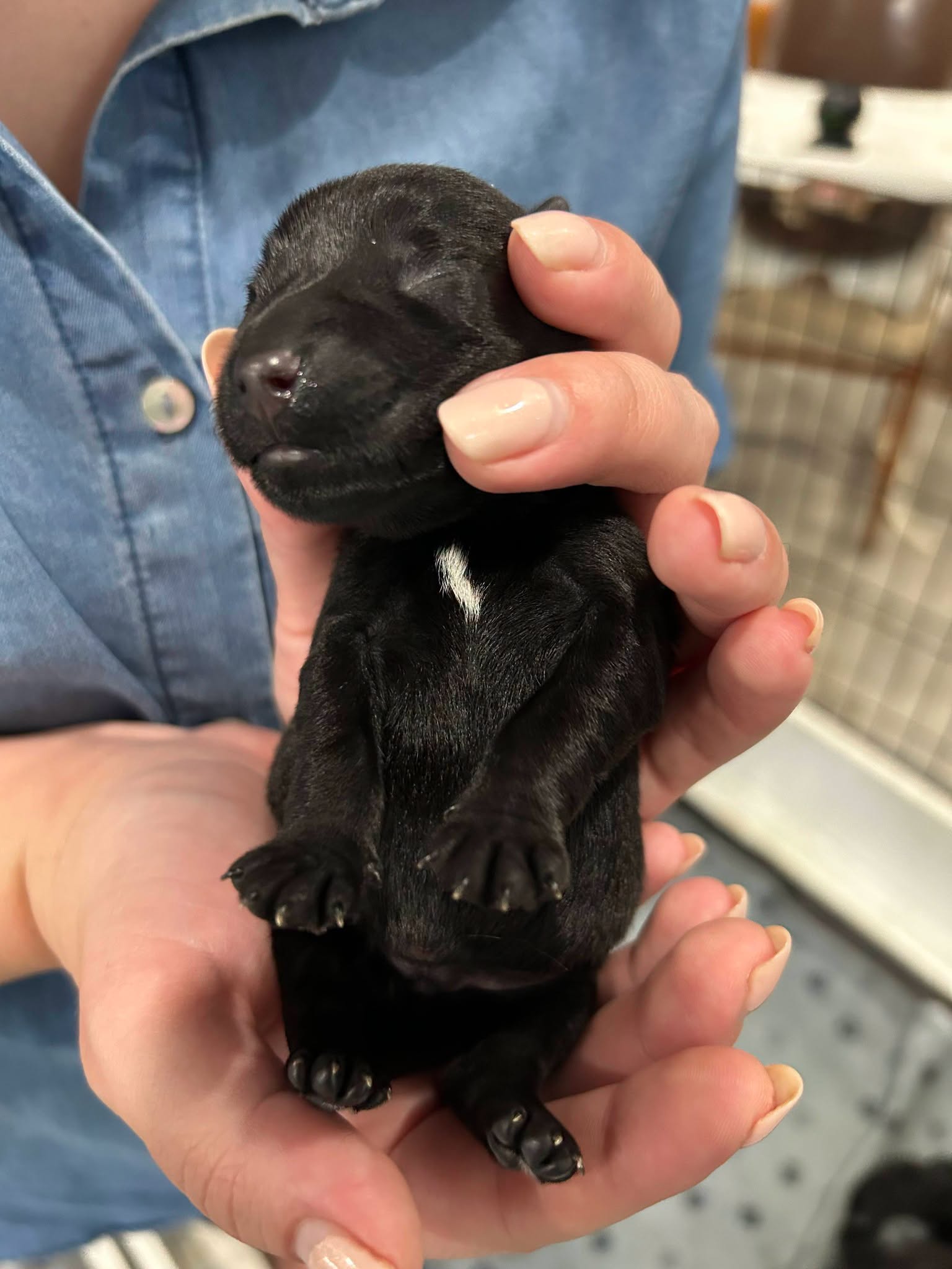 Charlie Brown being held